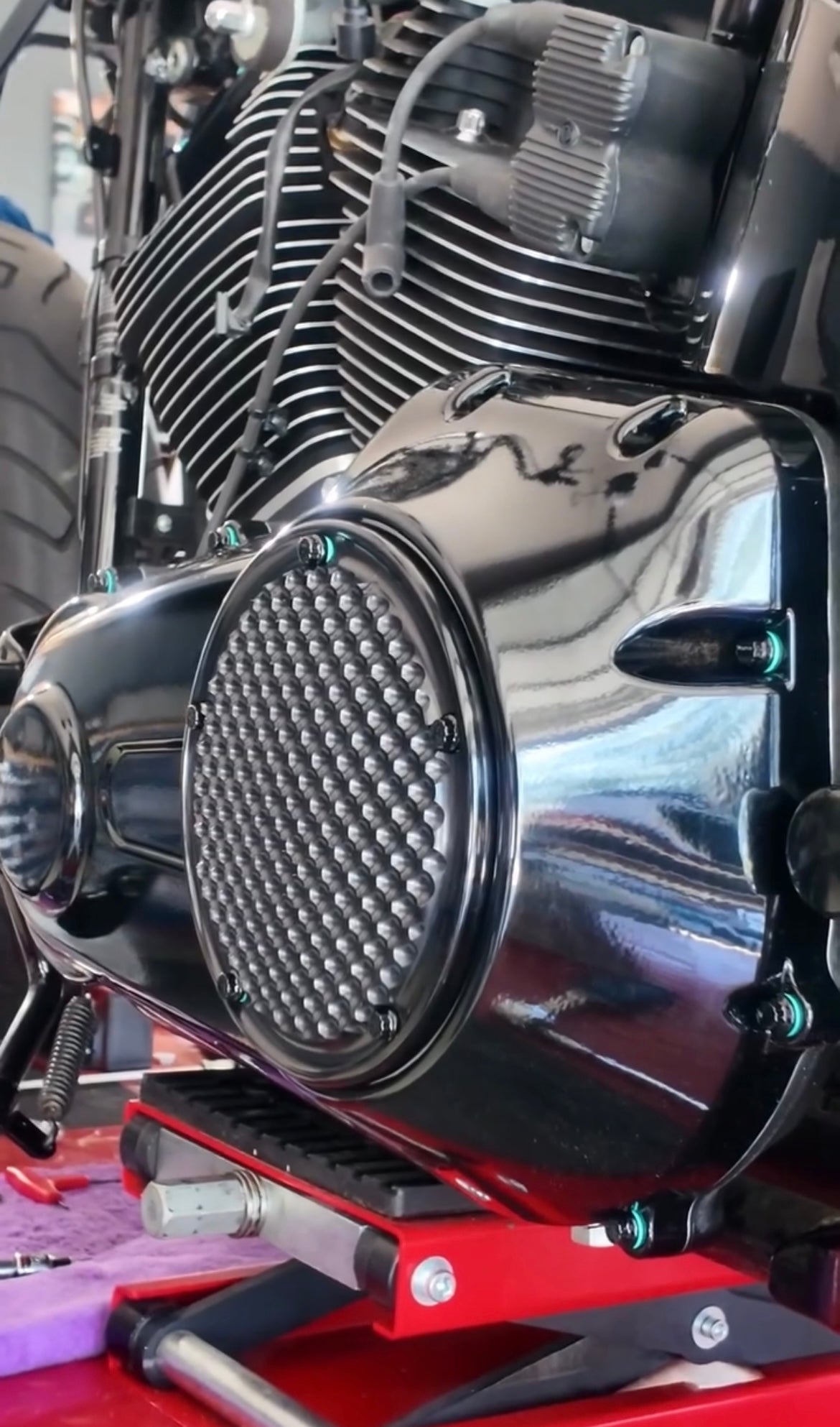 Shredder Derby Cover